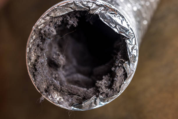 Best Air Vent Cleaning Services  in Maggie Valley, NC